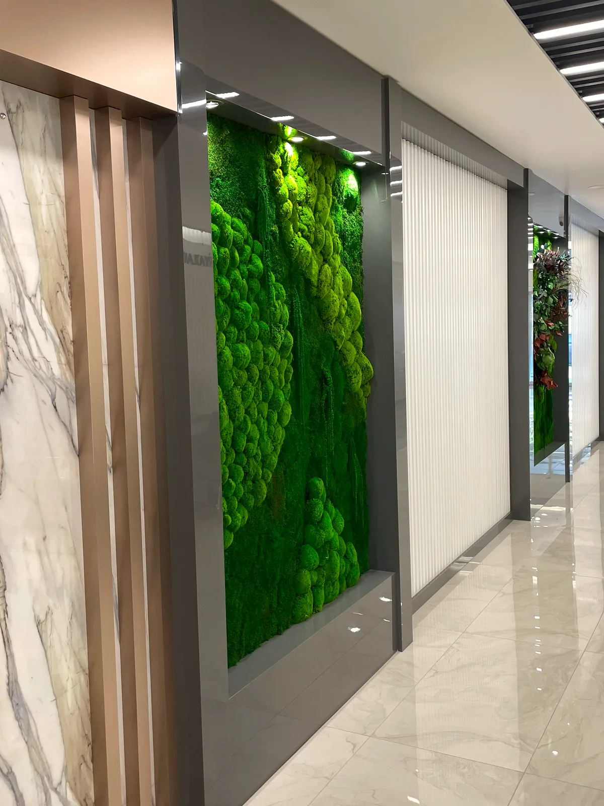 The clinic corridor, with its moss-panelled wall and marble surfaces